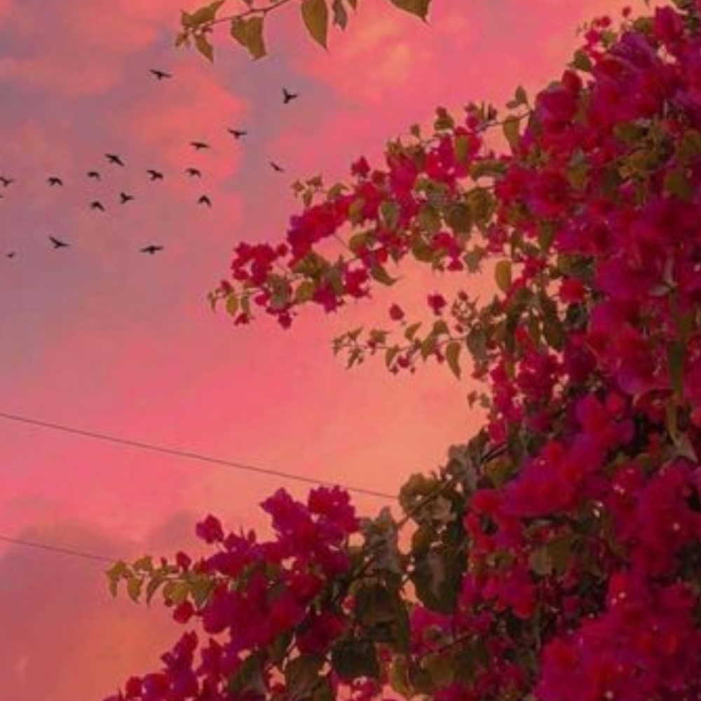 Meet your Posher, Guadalupe